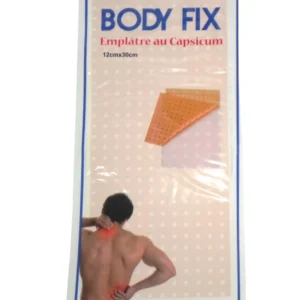 BODY FIXE EMPLATRE GM