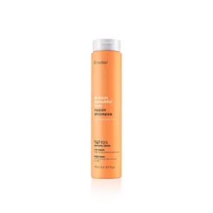 ERAYBA ABH REPAIR SHAMPOING 250 ML