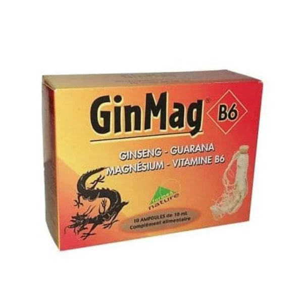 GINMAG B6 BT 10 AMPOULES