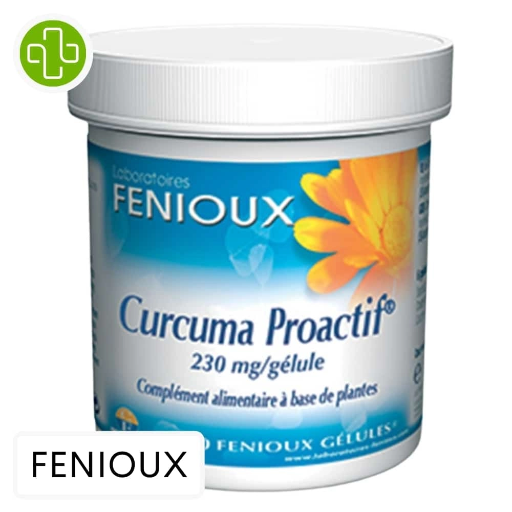 CURCUMA PROACTIF 90 GELULES  FENIOX - Image 1
