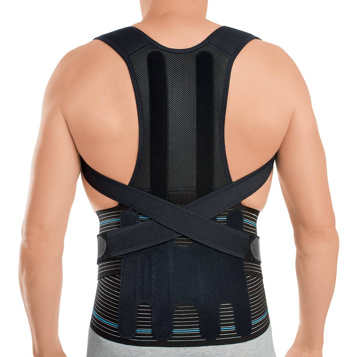 CEINTURE DORSAL TM OMS - Image 1