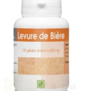 LEVURE DE BIERE REVIVIFIABLE 100 GELULES 320 MG