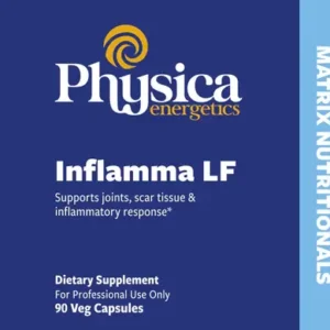 HARPAGOPHYTUM X 90 GELULES