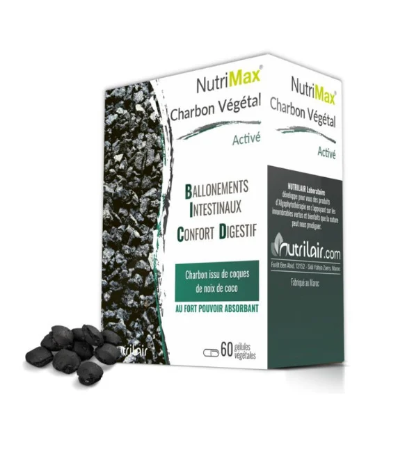 VIDAGAZ CHARBON VEGETAL ACTIVE