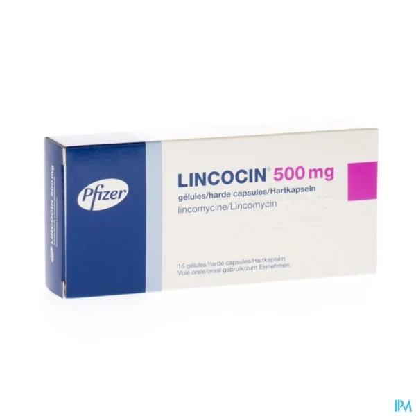 LINCO ALIMENTATEUR MEDICAMENTS