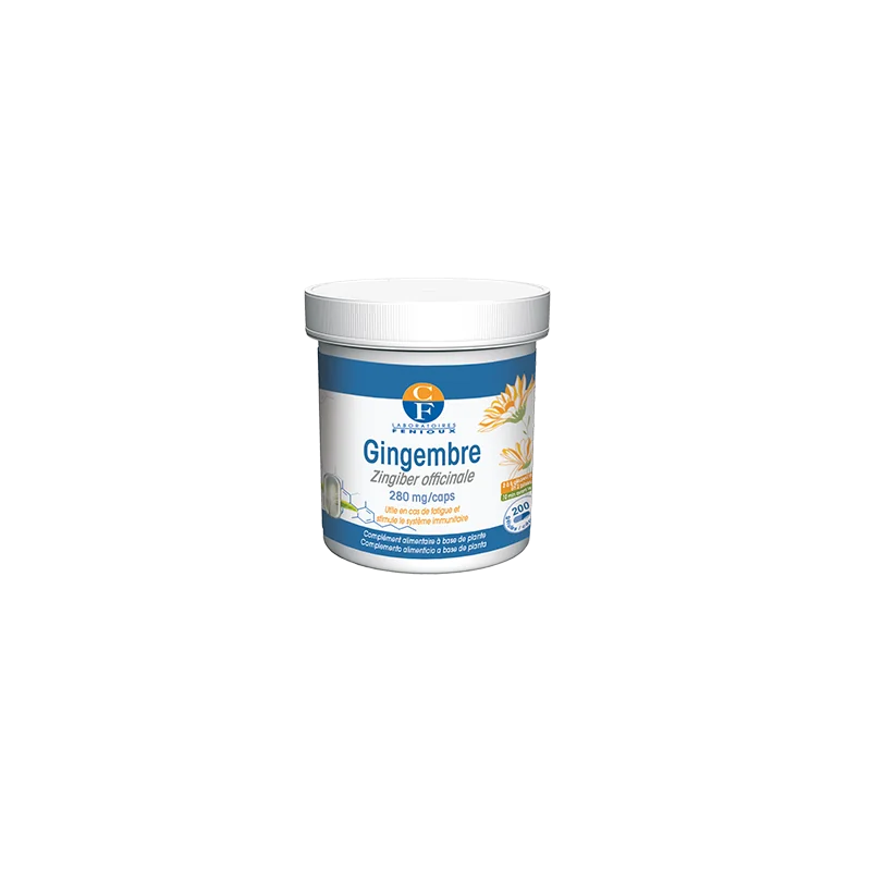 GINGEMBRE FENIOUX - Image 1