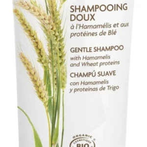 FLEURANCE NATURE SHAMPOIG DOUX À L'HAMAMELIS 200 ML