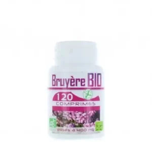 BRUYER 120 COMPRIMES 400 MG