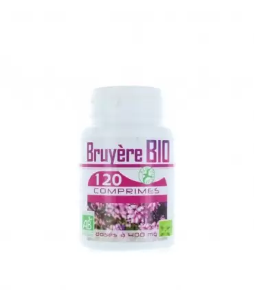 BRUYER 120 COMPRIMES 400 MG