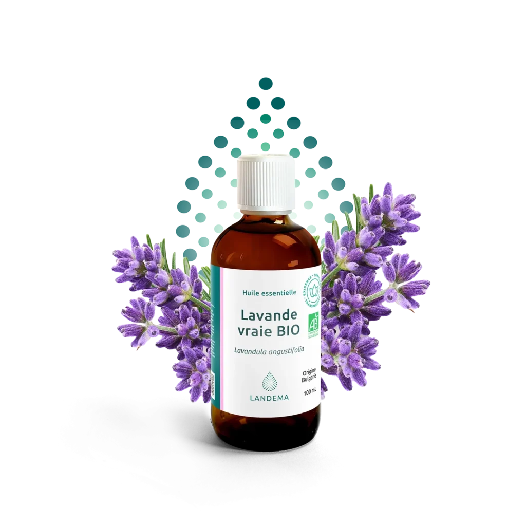 SANTE BIO HUILE ESSENTIEL DE LAVANDE 10 ML