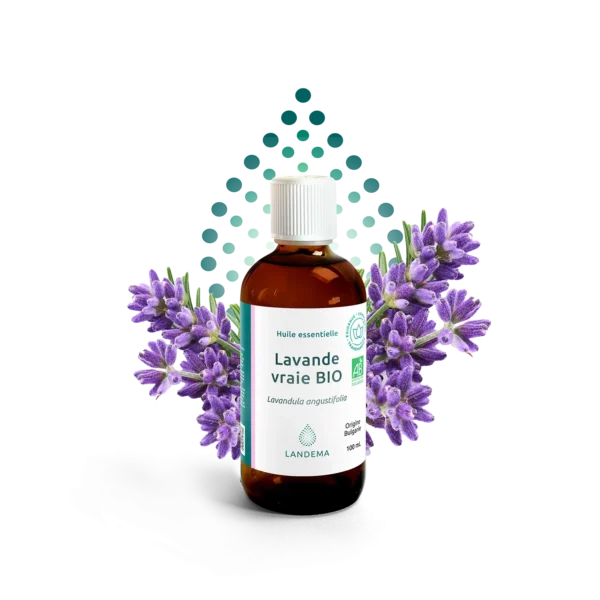 SANTE BIO HUILE ESSENTIEL DE LAVANDE 10 ML