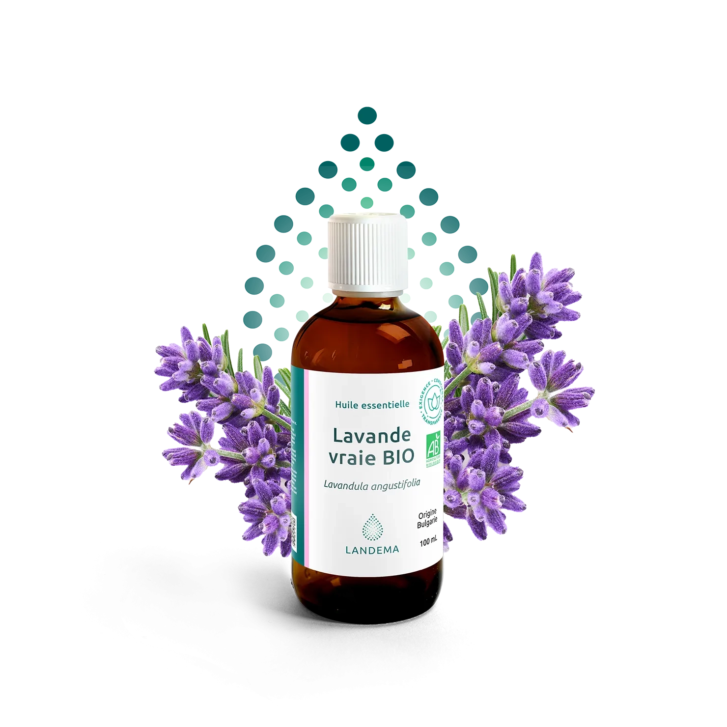 SANTE BIO HUILE ESSENTIEL DE LAVANDE 10 ML - Image 1