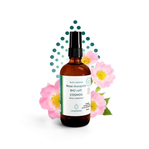 HUILE VEGETALES COSMOS ROSE MUSQUEE  ATELIER DES PLANTES 5