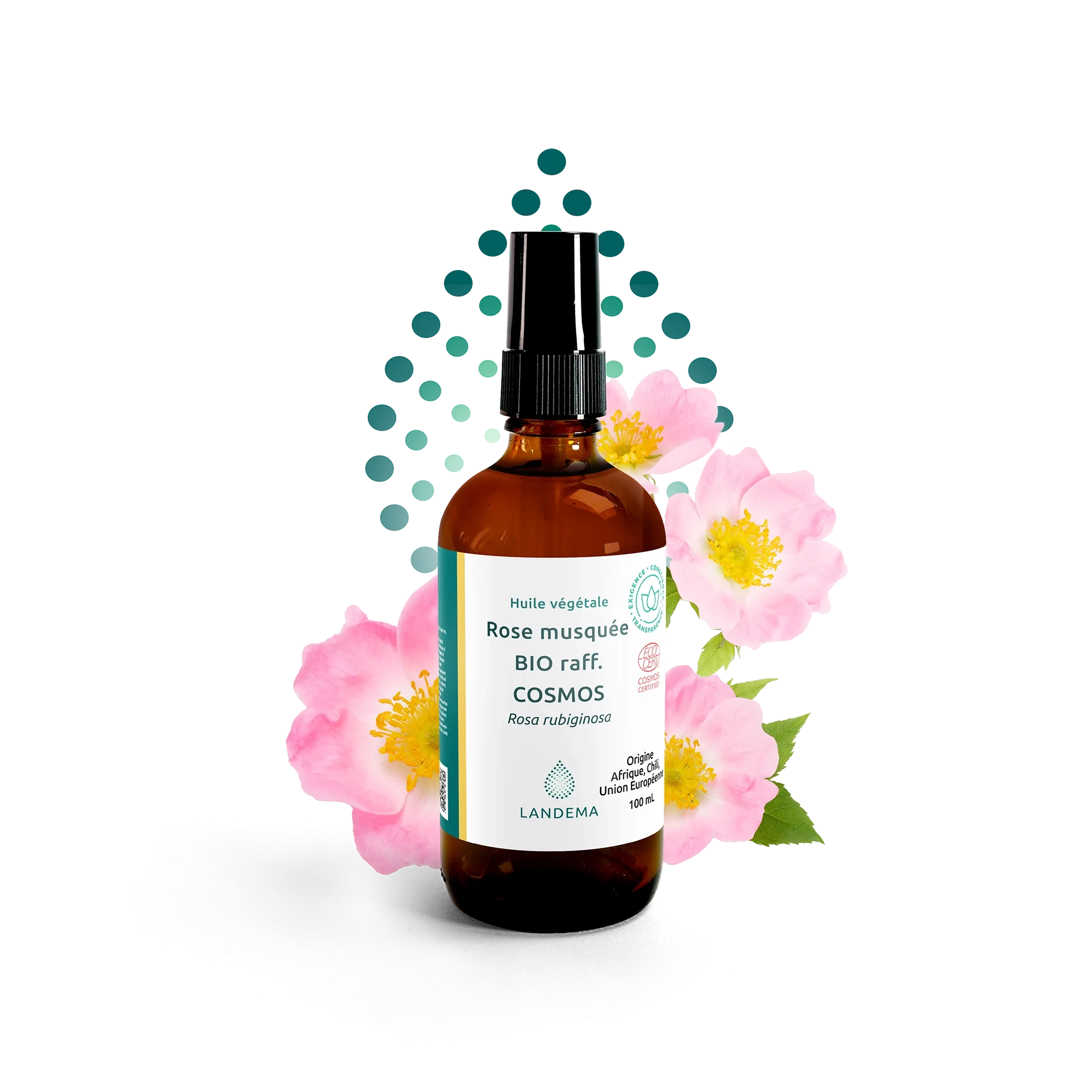 HUILE VEGETALES COSMOS ROSE MUSQUEE  ATELIER DES PLANTES 5 - Image 1